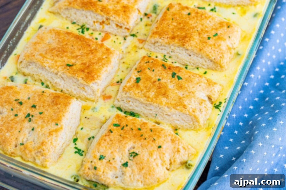 A golden-brown turkey pot pie casserole, topped with fluffy biscuits, fresh from the oven.