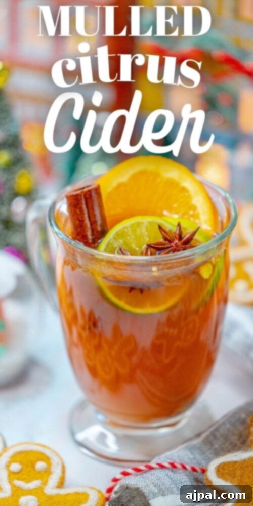 Aromatic Citrus Elixir 8 A glass mug of mulled citrus cider, elegantly presented with a festive arrangement of gingerbread cookies and spices.