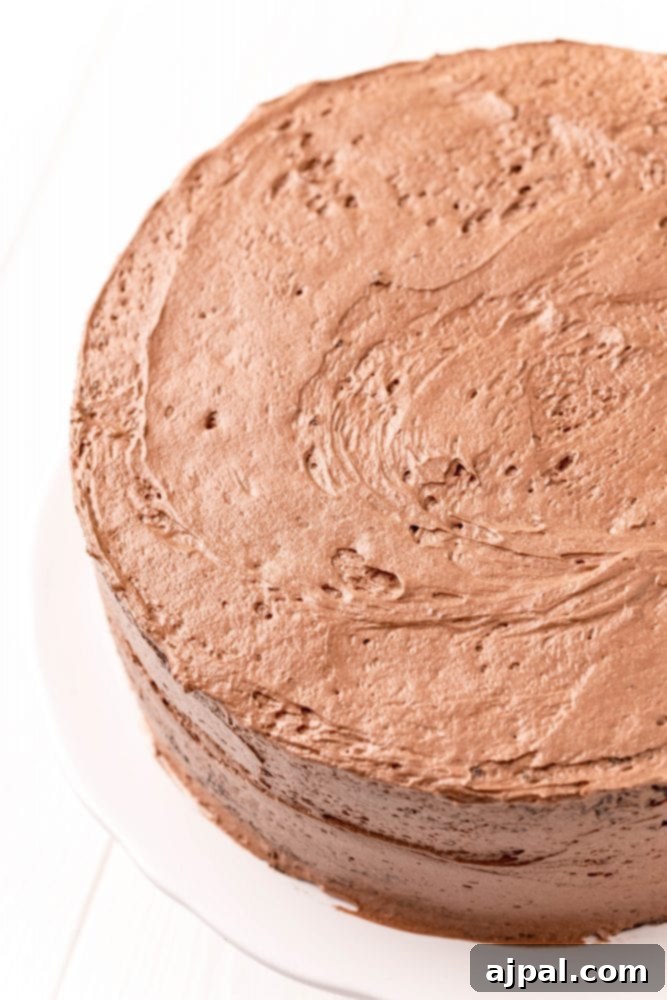 Decadent Chocolate Perfection 3 Close-up of a richly frosted chocolate layer cake on a white plate, showcasing its moist texture.