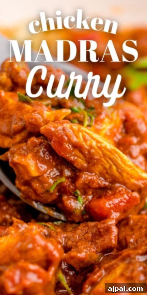 Effortless Madras Curry 13 A hearty serving of Chicken Madras curry in a pristine white bowl, garnished beautifully.