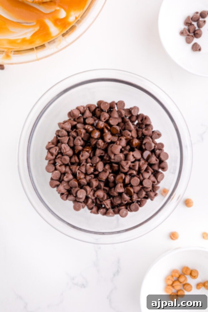 picture of chocolate chips in a bowl, ready to be melted for the top layer.