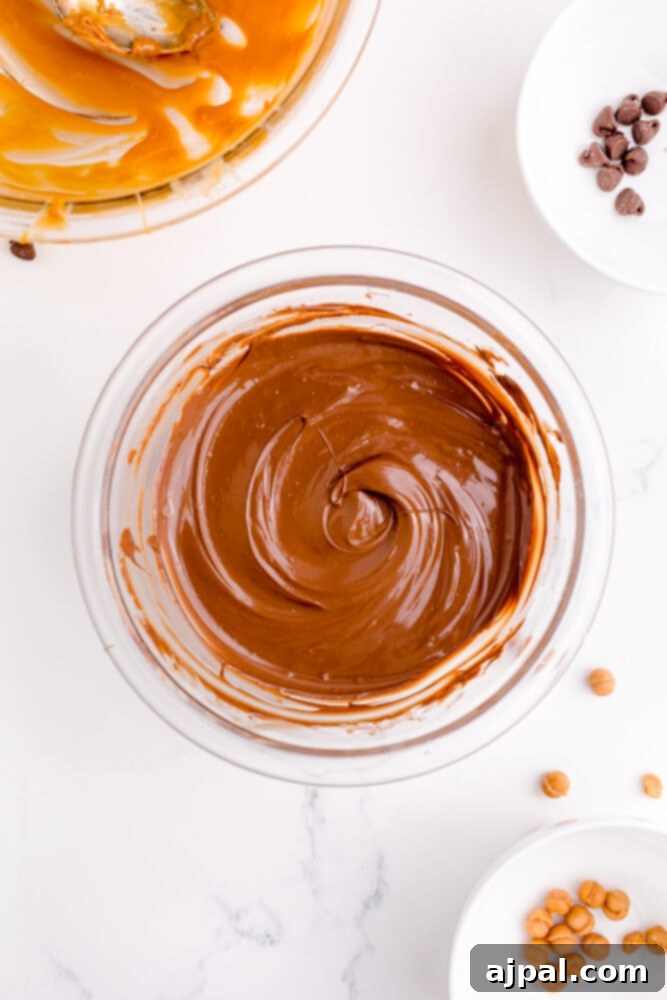picture of melted chocolate in a bowl, smooth and glossy.
