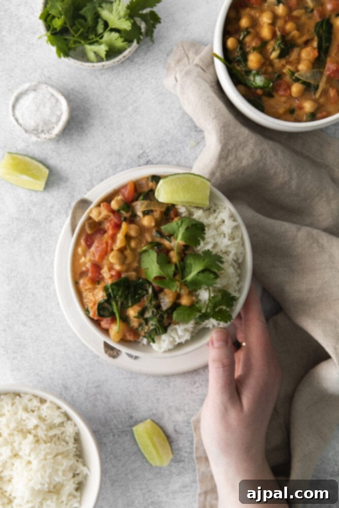 A person gently holding a bowl of steaming vegan chickpea curry and a bowl of rice, ready to be served, emphasizing the comfort and warmth of the meal.