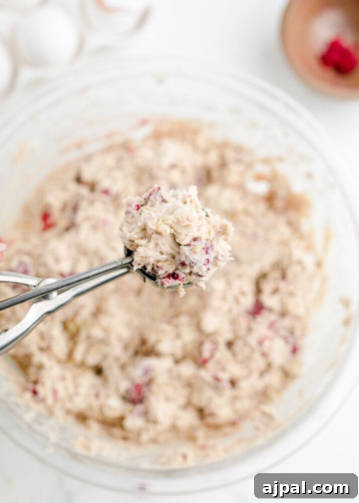 A close-up of a cookie scoop holding a portion of white chocolate raspberry oatmeal cookie dough, ready for placement on a baking sheet.