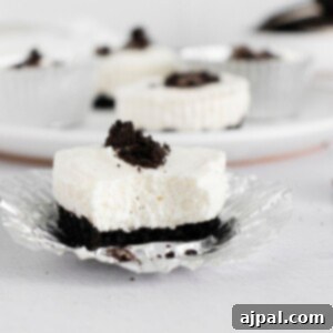 Easy No Bake Oreo Cheesecake 13 picture of oreo mini cheesecake on a white plate