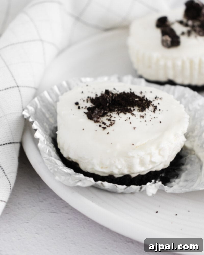 Easy No Bake Oreo Cheesecake 3 picture of no bake oreo cheesecakes on a white plate