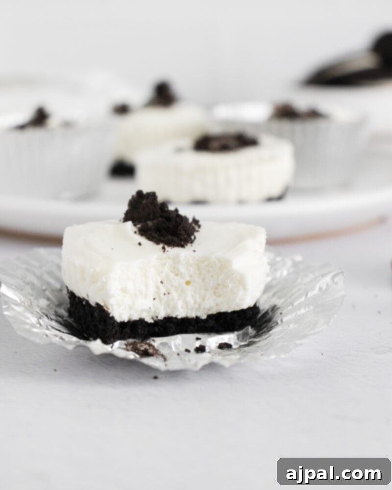 Easy No Bake Oreo Cheesecake 10 picture of no bake oreo cheesecakes on a white plate