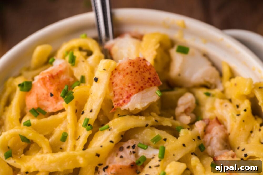 Instant Pot Creamy Lobster Brie Pasta 14 A wide shot of a shallow white bowl filled with creamy Instant Pot Lobster Brie Pasta, showcasing the texture and rich color of the dish.