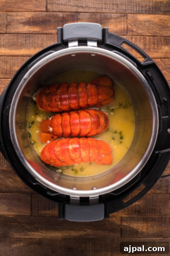 Instant Pot Creamy Lobster Brie Pasta 8 Cooked lobster tails resting in a pool of flavorful broth inside the Instant Pot, showing their vibrant red shells.