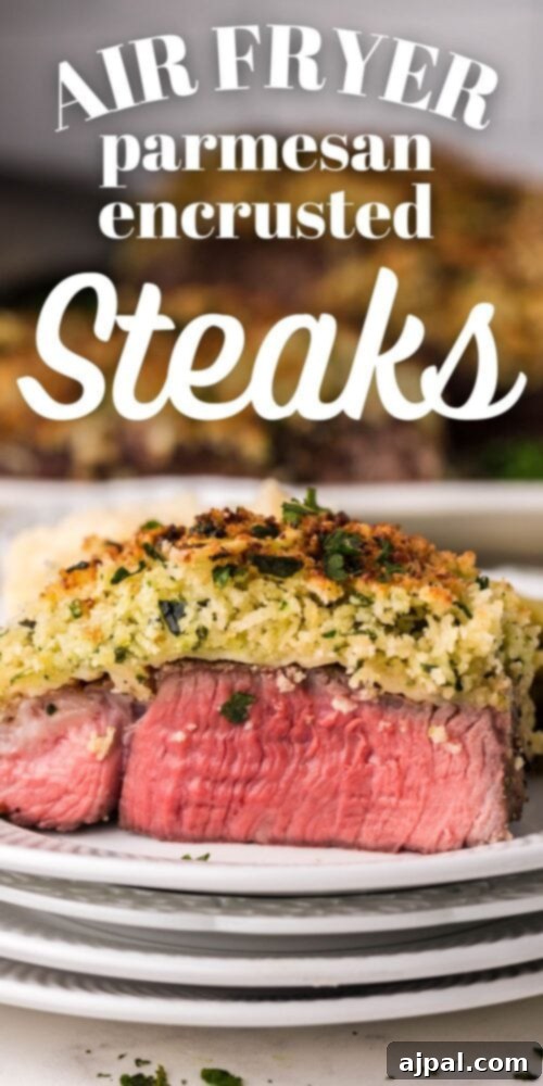 picture of parmesan encrusted steak on a white plate in front of an air fryer