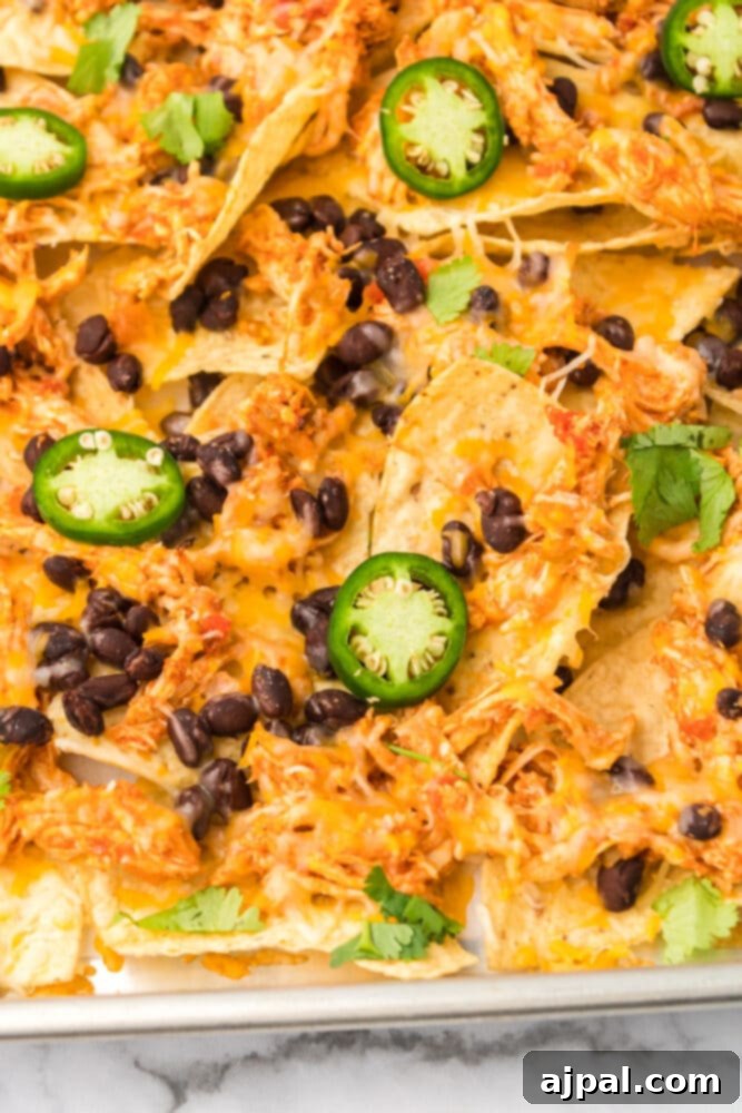 Picture of irresistible chicken nachos on a baking sheet, ready to be served