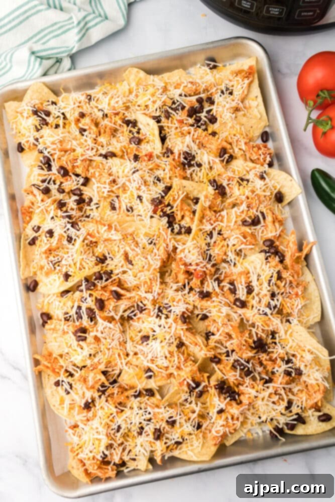 First layer of tortilla chips, shredded chicken, and cheese on a parchment-lined baking sheet.