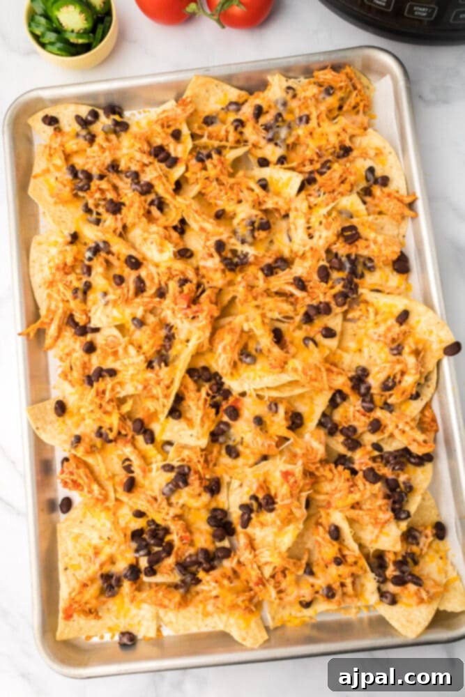 Nachos assembly in progress: chicken, beans, and cheese layered over tortilla chips on a baking sheet.