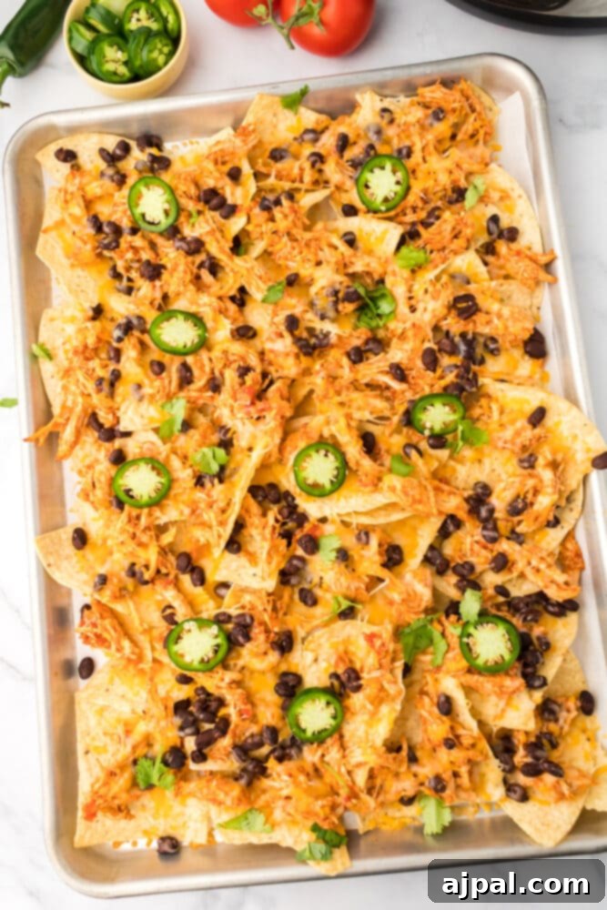 Fully assembled chicken nachos, topped with plenty of cheese and black beans, ready to bake.
