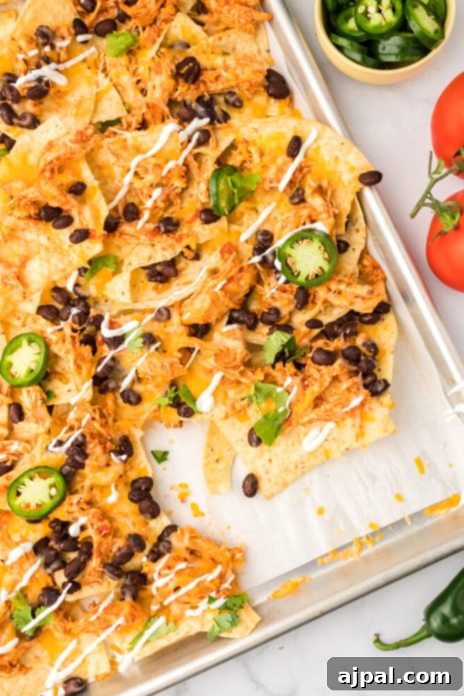 A large baking sheet filled with freshly baked chicken nachos, garnished with fresh tomatoes, black beans, and cilantro, ready to be served.