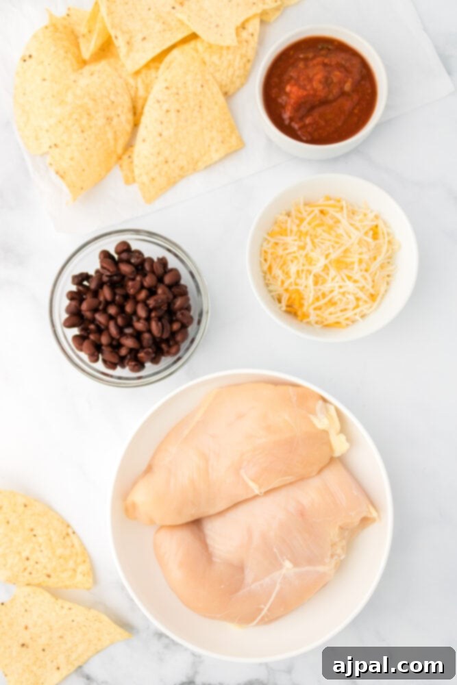 Various chicken nacho ingredients laid out on a table: chicken breasts, salsa, black beans, tortilla chips, and cheddar cheese.
