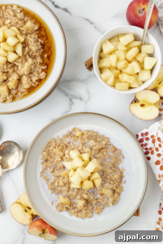 Overshot picture of two bowls of oatmeal with apples and a bowl of apples on the right, perfect for sharing.