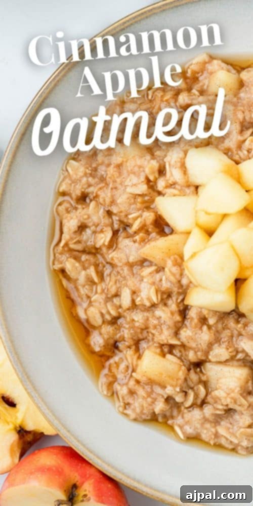 Apple cinnamon oatmeal, beautifully plated for a delightful meal.