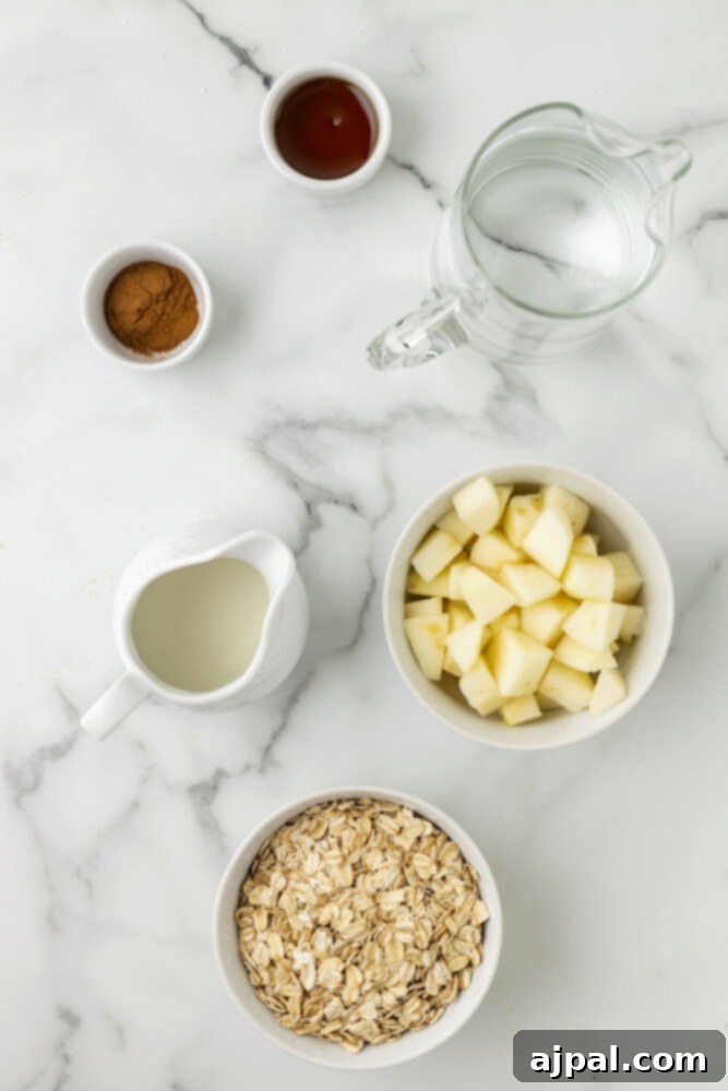 Ingredients for apple cinnamon oatmeal displayed on a marble countertop.