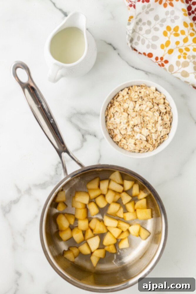 A bowl of apple cinnamon oatmeal with sliced apples and oats nearby.