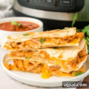 picture of chicken quesadillas on a plate in front of an instant pot
