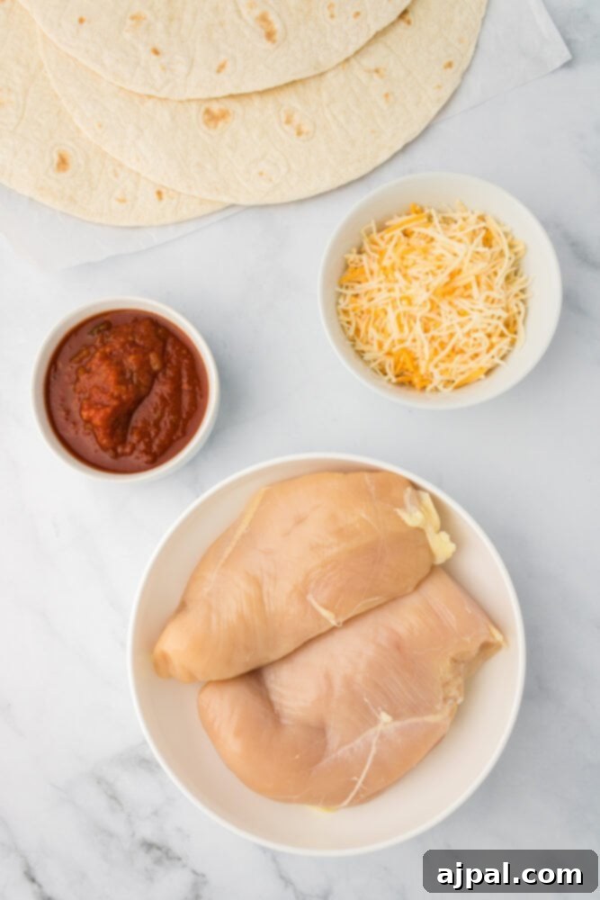 Raw chicken, salsa, cheese, and tortillas laid out on a table