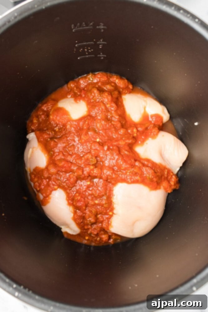 Chicken breasts and salsa inside an Instant Pot, ready for cooking