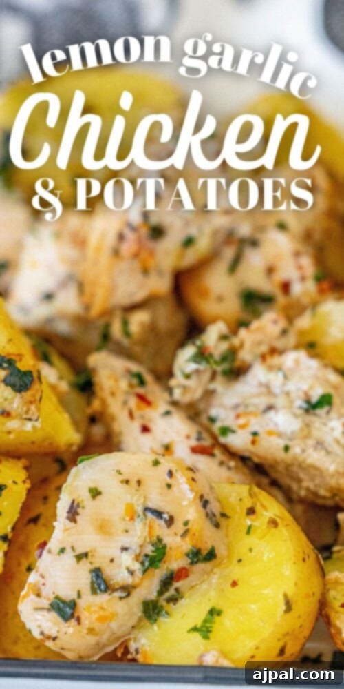 Zesty Lemon Garlic Chicken with Roasted Potatoes 8 A mouthwatering photo of lemon garlic chicken and potatoes, perfectly golden and ready to eat.