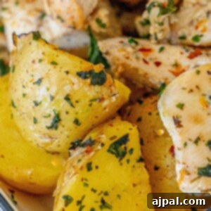 lemon garlic chicken and potatoes recipe picture