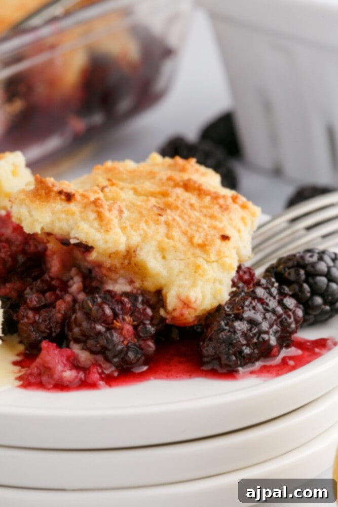 Luscious Blackberry Cobbler 2 A serving of blackberry cobbler on a plate with a fork, showing the rich berry filling and the golden, textured topping.