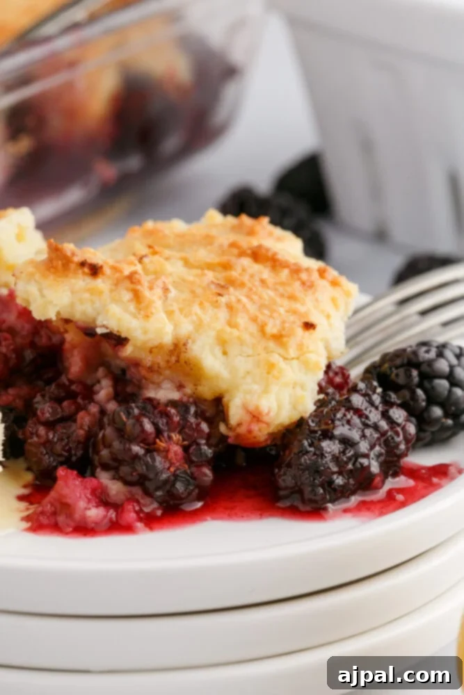 Rustic Blackberry Cobbler 2 Blackberries and a golden crusty topping on a plate with a fork in it, ready to be enjoyed.