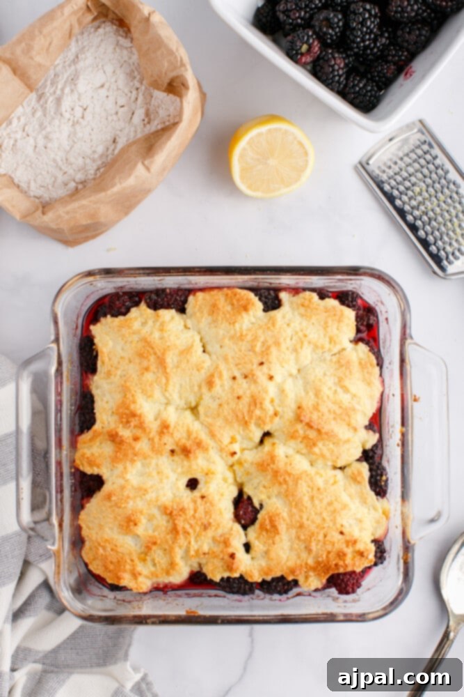 Luscious Blackberry Cobbler 11 Baked blackberry cobbler in a glass dish, golden and bubbly.