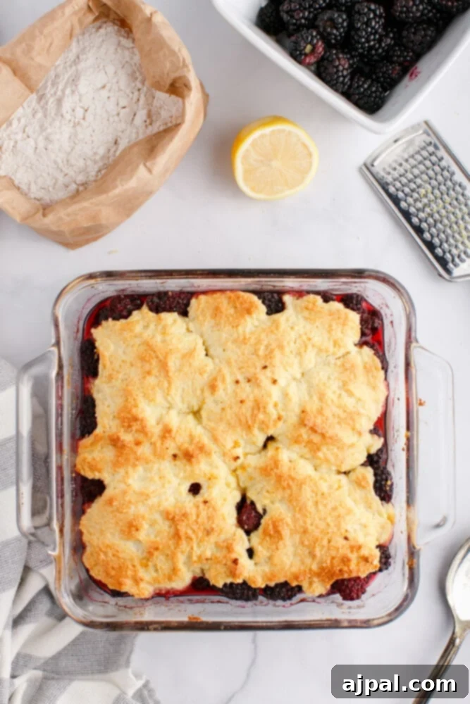 Rustic Blackberry Cobbler 11 A picture of a baked blackberry cobbler in a glass dish, golden and bubbly.