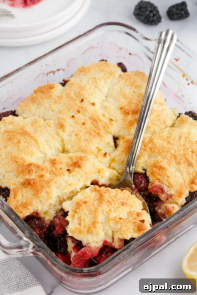 Rustic Blackberry Cobbler 12 A close-up of a serving of blackberry cobbler in a glass dish with a fork, showing the rich fruit and crispy topping.