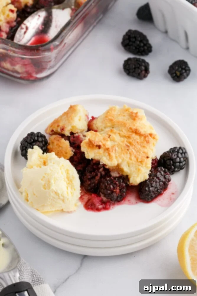 Rustic Blackberry Cobbler 13 A plate of warm blackberry cobbler topped with a scoop of melting vanilla ice cream.