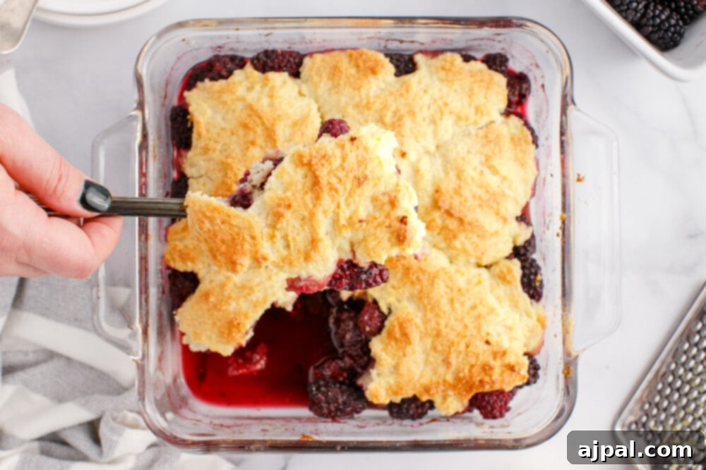 Luscious Blackberry Cobbler 3 A glass baking dish filled with blackberry cobbler, showing the fruit peeking through the golden, bubbly topping, with a serving spoon resting beside it.