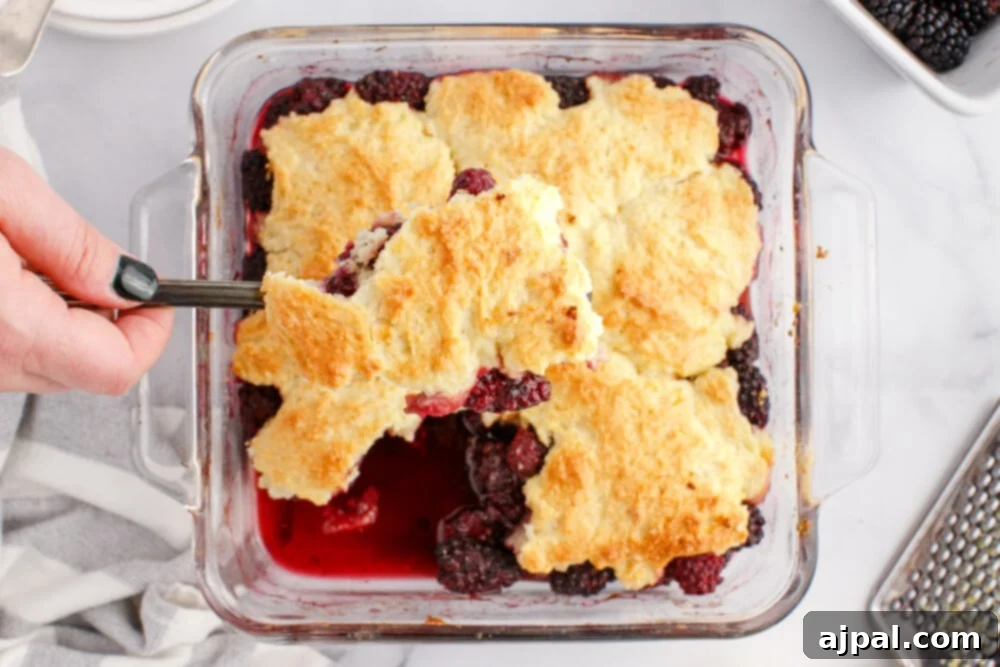 Rustic Blackberry Cobbler 3 A glass dish filled with bubbling blackberries and a golden-brown cobbler topping, with a fork resting inside.