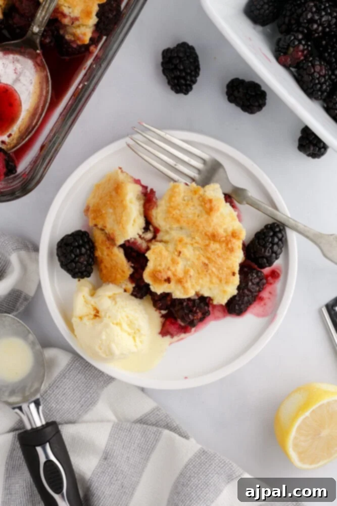 Rustic Blackberry Cobbler 15 A plate of warm blackberry cobbler with a fork, emphasizing the crisp topping and fruit.