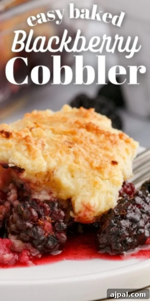 Rustic Blackberry Cobbler 16 An inviting image of a baked blackberry cobbler on a plate, highlighting the easy recipe.