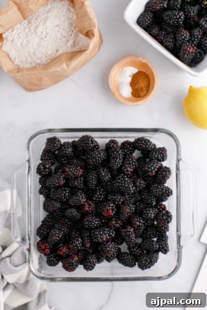 Luscious Blackberry Cobbler 7 Fresh blackberries in a glass baking dish, ready for preparation.
