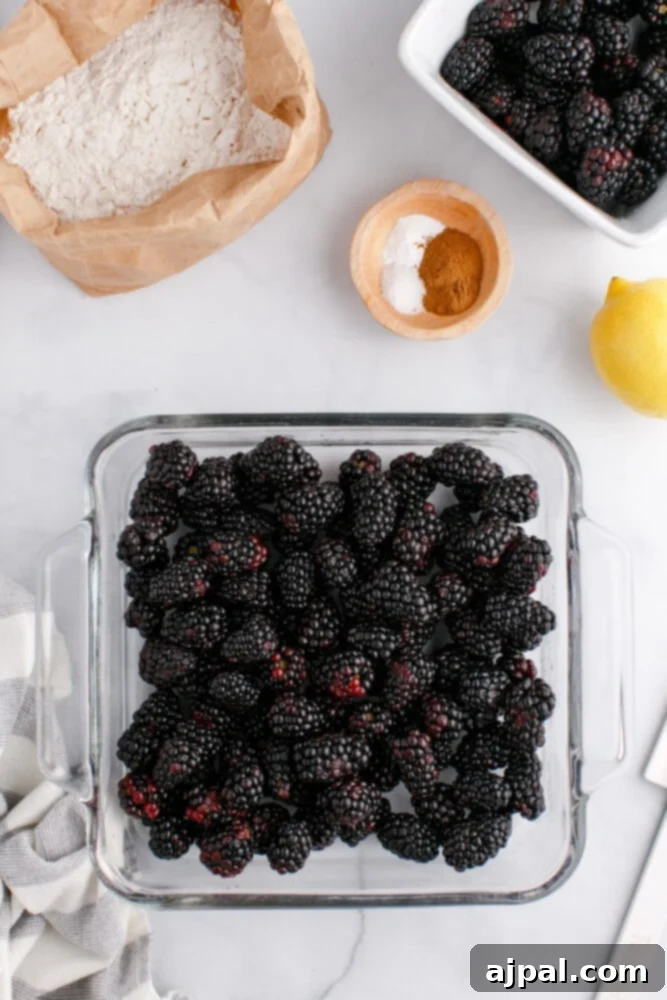 Rustic Blackberry Cobbler 7 A picture of fresh blackberries in a baking dish.