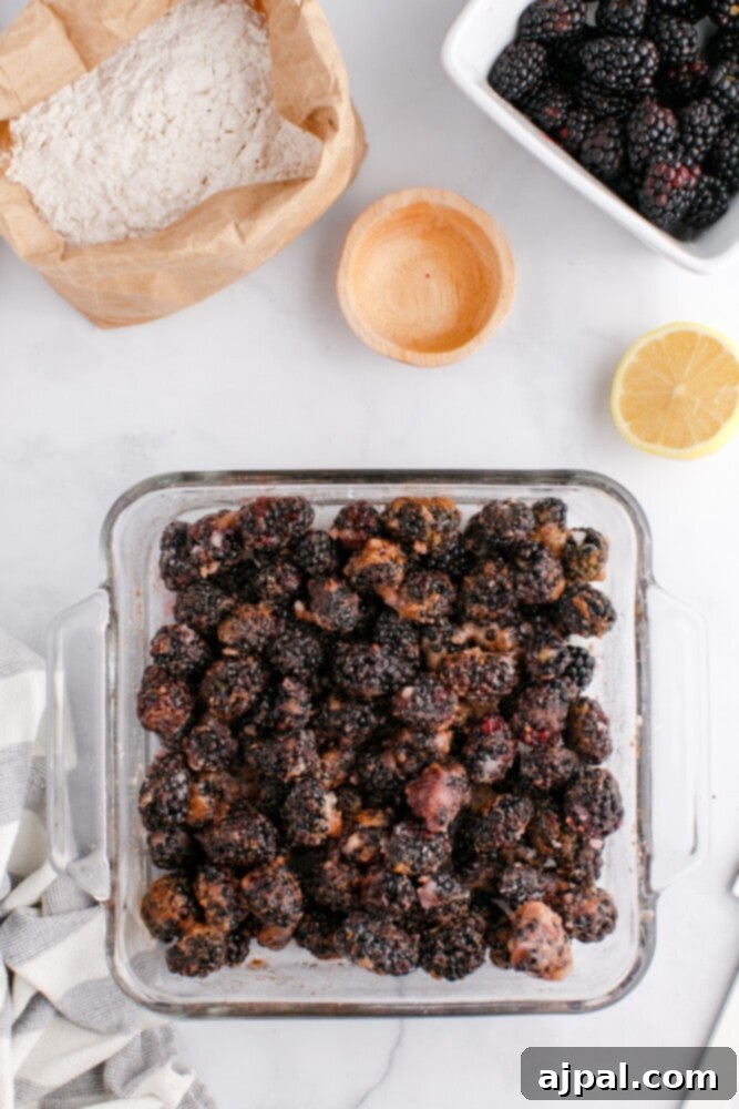 Luscious Blackberry Cobbler 8 Blackberries tossed with sugar and lemon juice in a dish.