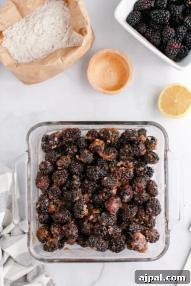 Rustic Blackberry Cobbler 8 A picture of blackberries tossed in sugar and lemon juice in a dish.