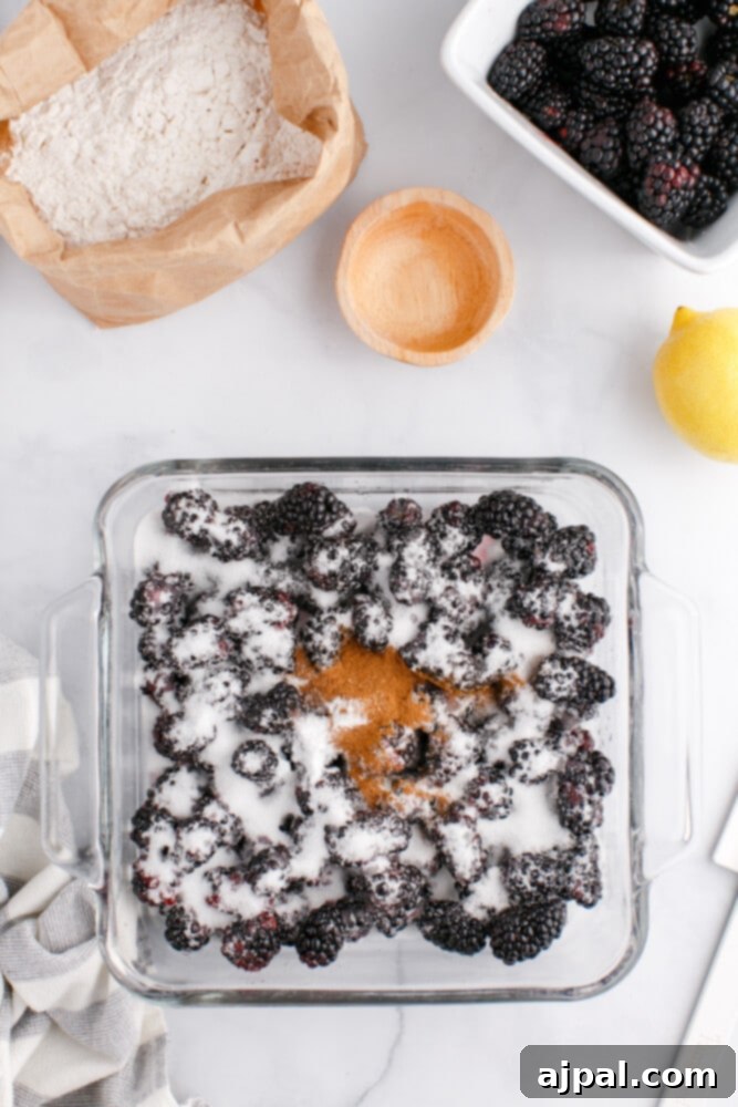 Luscious Blackberry Cobbler 9 The cobbler base ingredients, including flour and butter, in a mixing bowl.