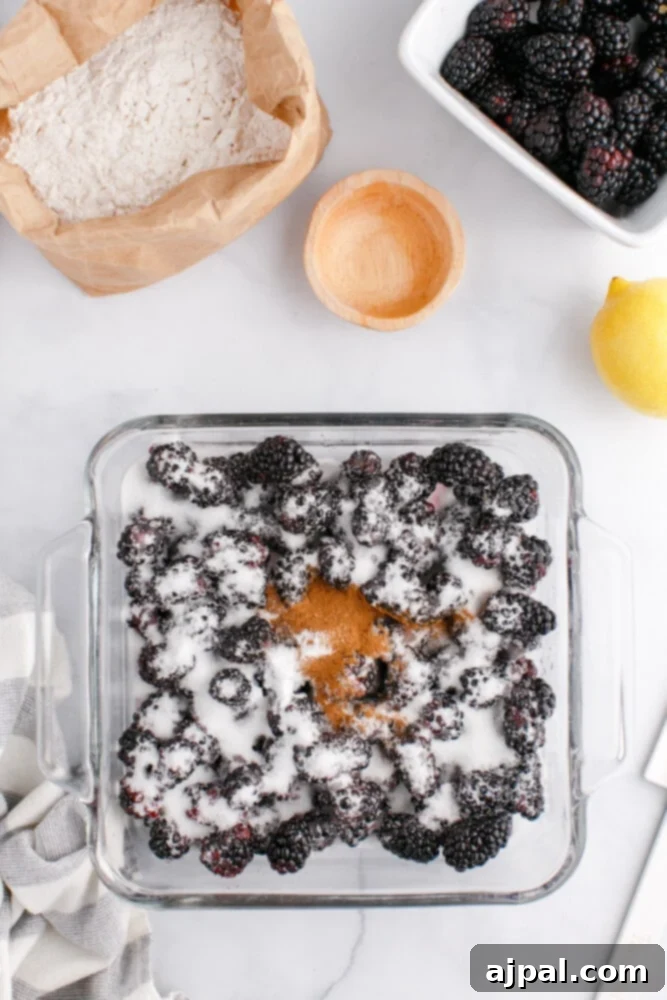 Rustic Blackberry Cobbler 9 A picture of mixed cobbler ingredients in a dish, showing the fruit base.