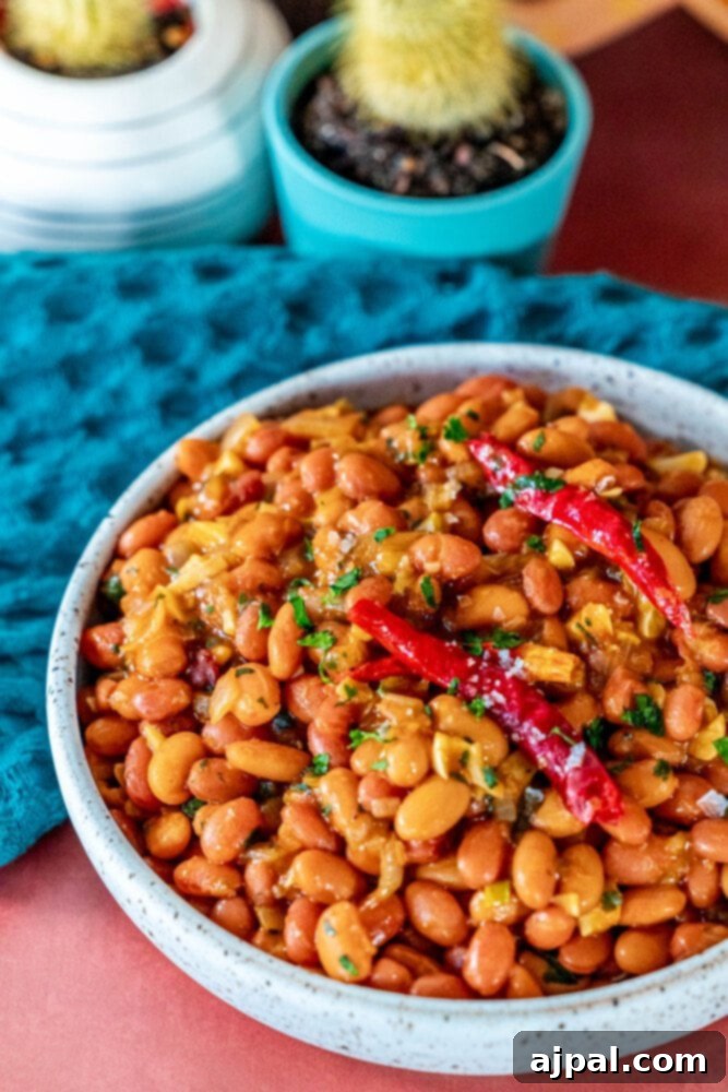 Chili Garlic Beans 6 A white bowl of spicy beans garnished with fresh cilantro and vibrant red chilies on top, highlighting the colorful and appetizing nature of the dish.