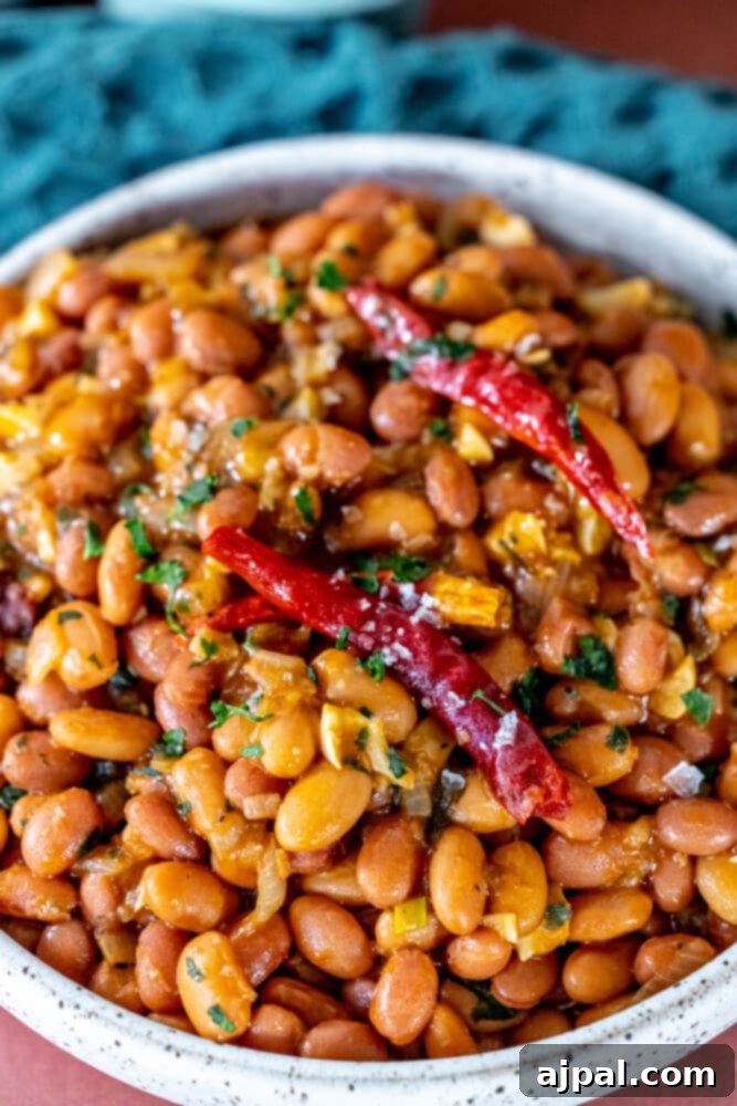Chili Garlic Beans 7 A beautifully presented bowl of spicy beans, garnished with fresh cilantro and a light sprinkle of salt and chilies on top, highlighting its vibrant and inviting appearance.
