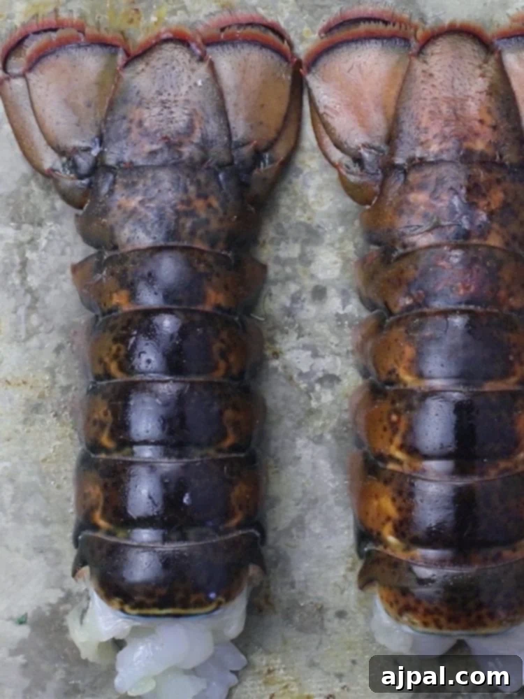 Perfect Grilled Lobster Tails 5 Raw lobster tail on a baking sheet, ready for preparation.
