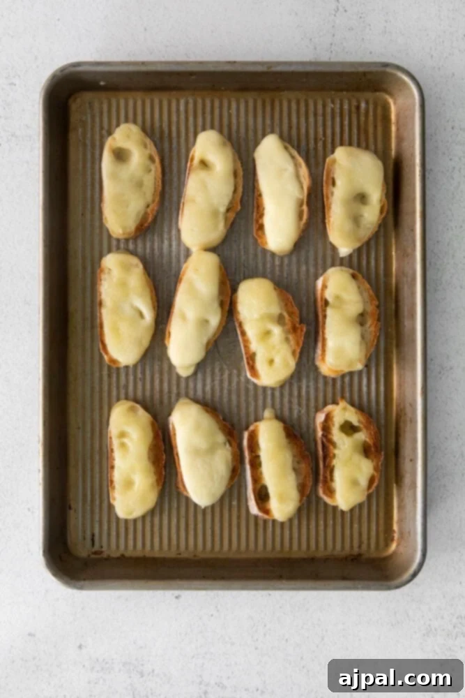 Vibrant Caprese Toasts 5 Toasted baguette slices topped with perfectly melted mozzarella cheese on a baking sheet, straight from the oven.