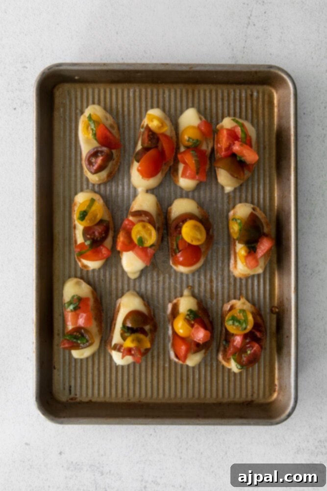 Fresh Caprese Bruschetta 6 Warm Caprese Bruschetta crostini, freshly baked with melted mozzarella and topped with marinated tomatoes, still on the baking sheet.